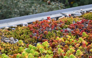 the cost of Birley Carr green roof installation