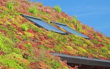 Birley Carr living roof systems
